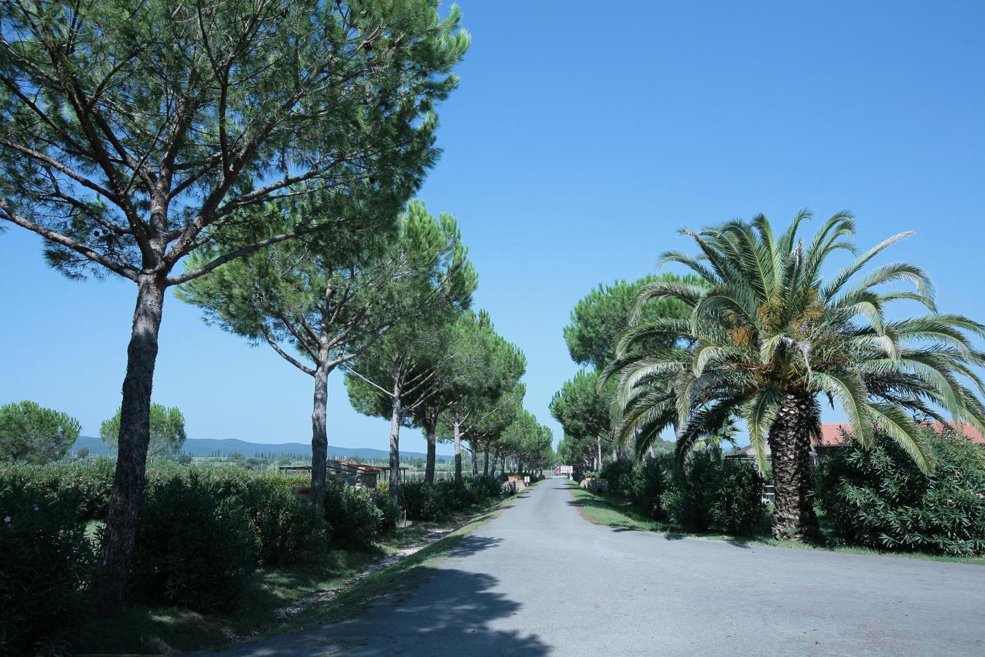 Agriturismo Cannavota Follonica Ngoại thất bức ảnh